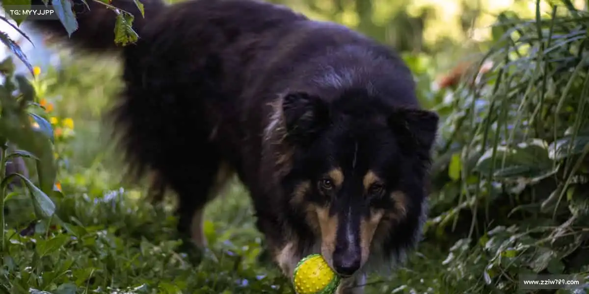 <strong>UED</strong>🏋️♀️汗水浇灌梦想，健身塑造更强的自己！